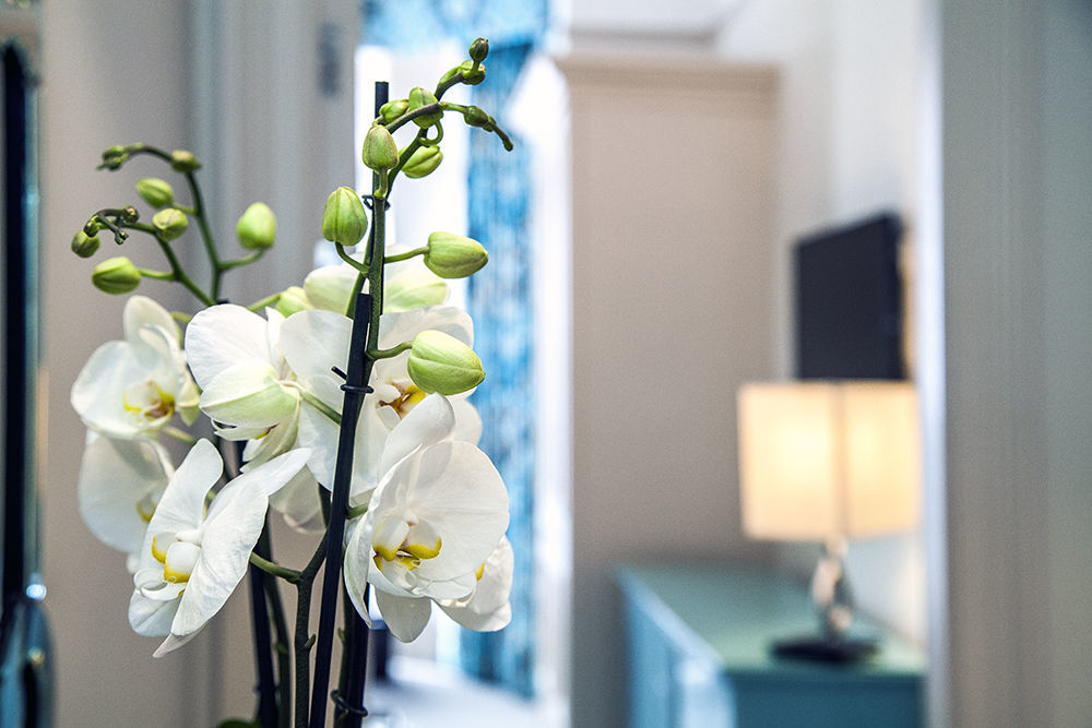 The Apartments By The Sloane Club London Eksteriør bilde